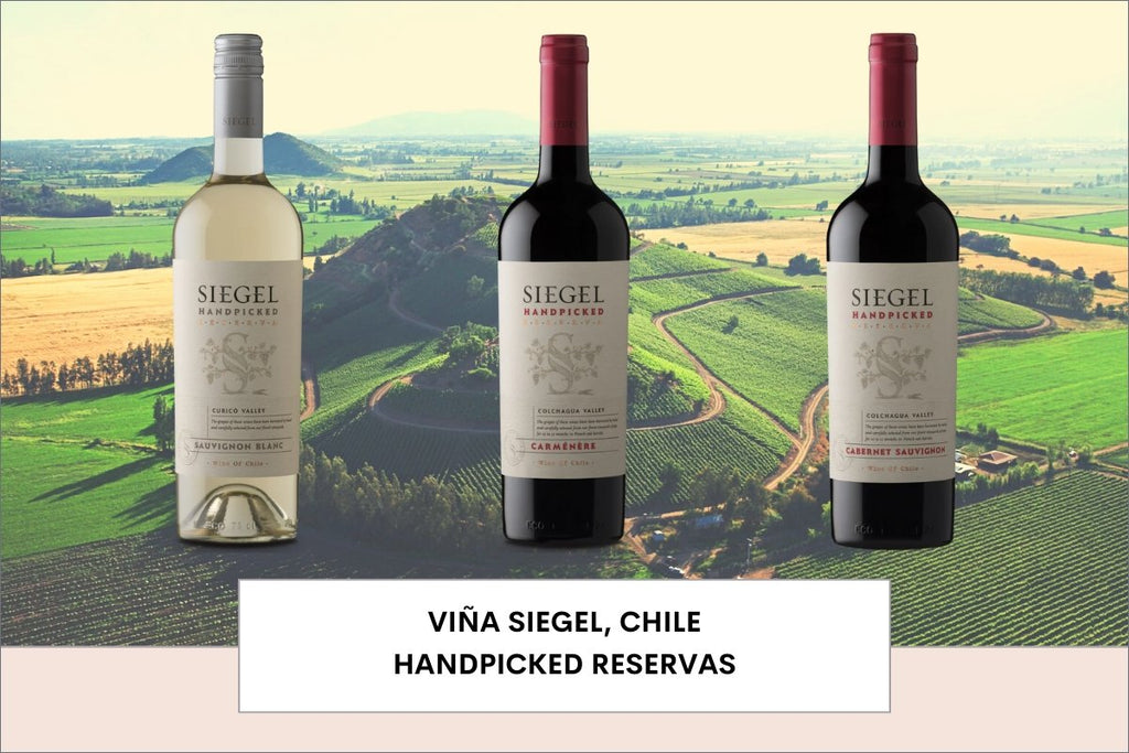 Producer Feature: Viña Siegel  |  Chile - Caviste Wine