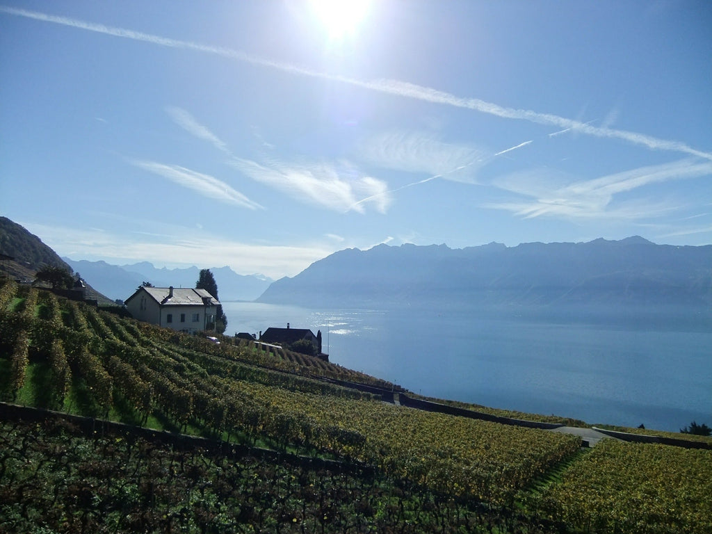 A VIRTUAL JOURNEY THROUGH SWITZERLAND AND AUSTRIA - Caviste Wine