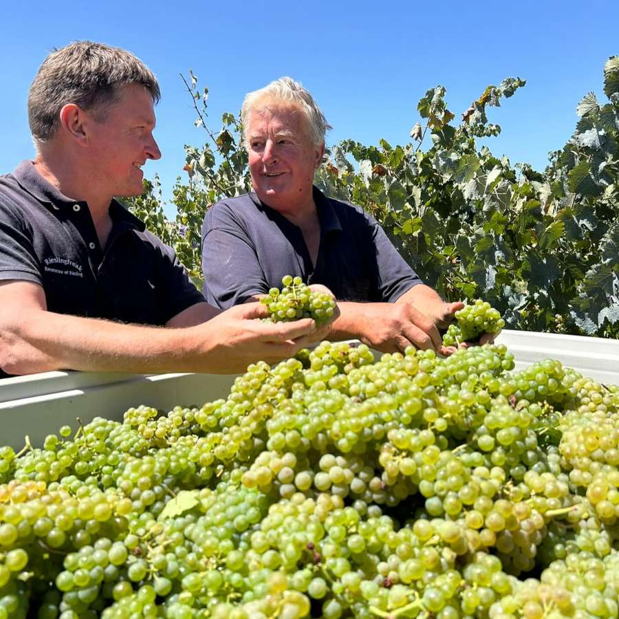 Australia’s Riesling Renaissance: Workhorse to Royalty - Caviste Wine