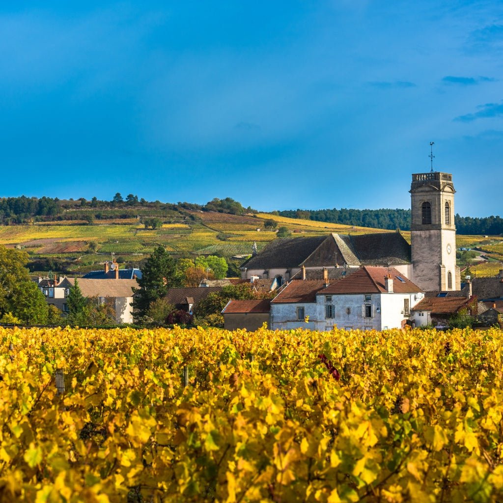 Burgundy En Primeur 2021 - Caviste Wine