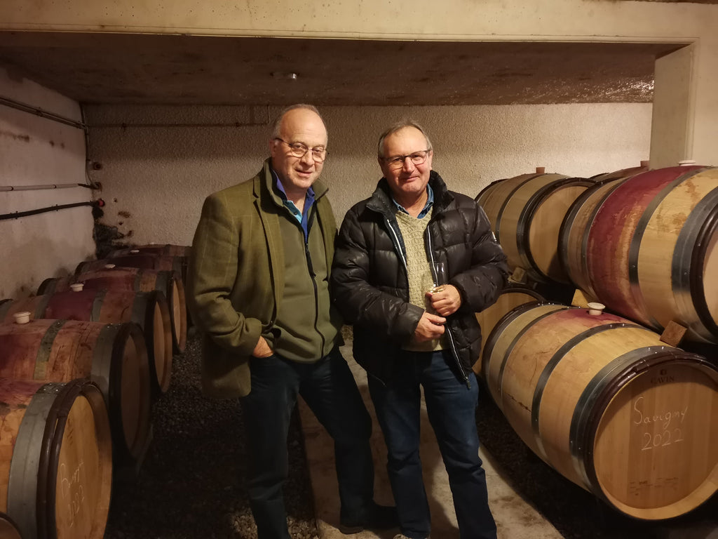 Day Four: The Boys in Burgundy - Caviste Wine