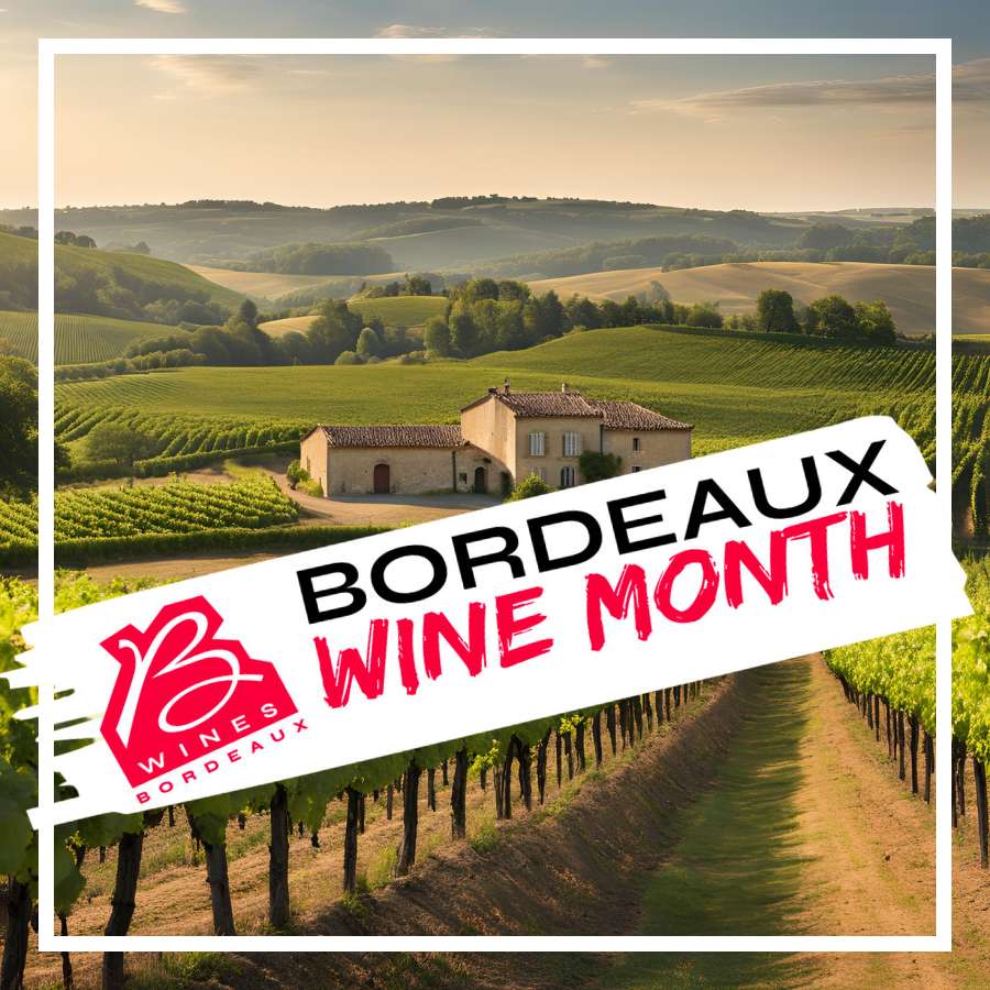 Exploring Bordeaux: The Regions and Grapes Behind the Label - Caviste Wine