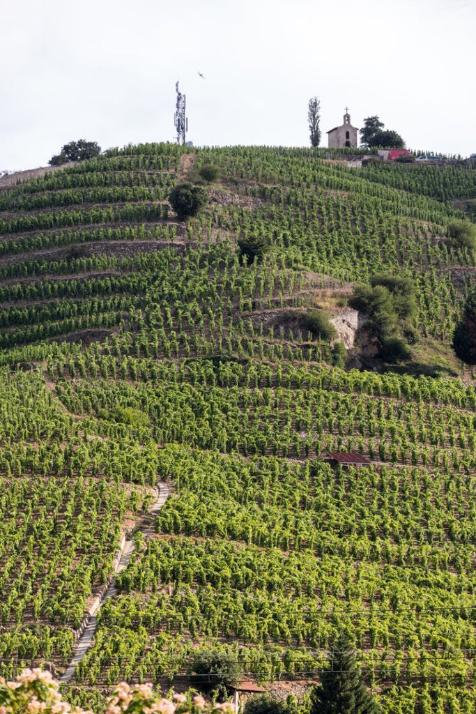 Mark Rhône Ranger - October 2025 - Caviste Wine