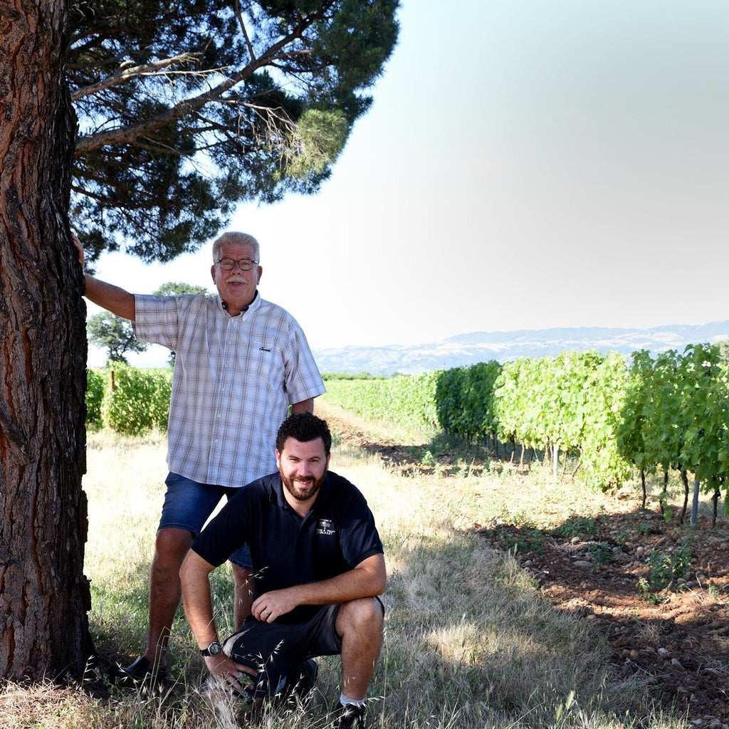 The Elegance of Domaine Philippe et Vincent Jaboulet - Caviste Wine