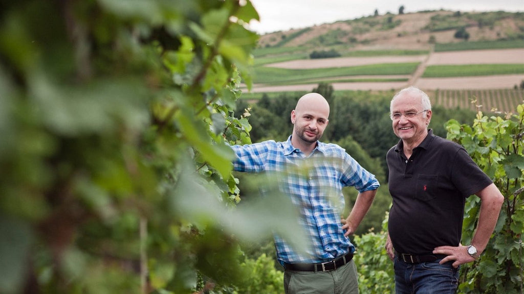 Unveiling Dönnhoff’s 2023 Vintage - Caviste Wine