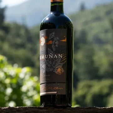 2021 Vina Tumunan Libra Syrah - Red - Caviste Wine