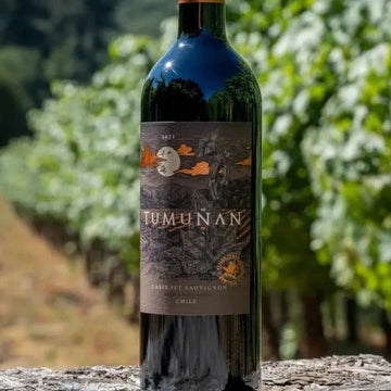 2022 Vina Tumunan Cabernet Sauvignon Gran Reserva - Red - Caviste Wine