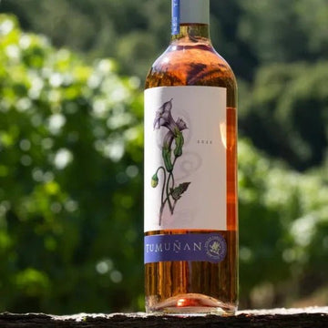 2022 Vina Tumunan Rose - Rosé - Caviste Wine