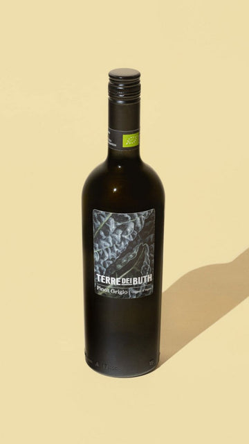 2023 Terre de Buth Pinot Grigio - White - Caviste Wine