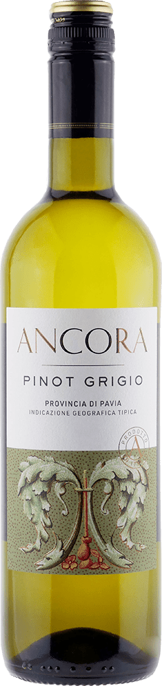 2024 Ancora Pinot Grigio - White - Caviste Wine