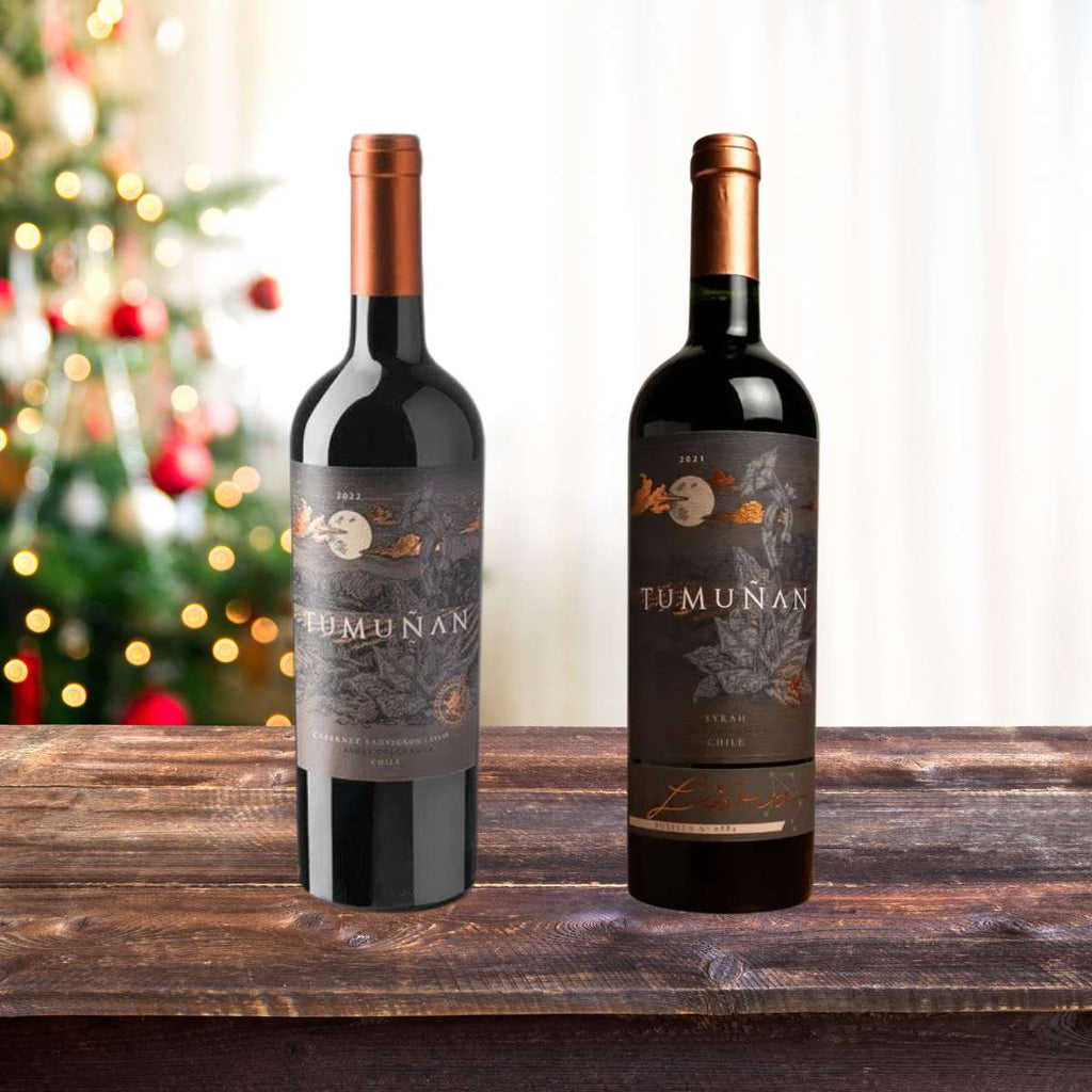 Charming Chileans - Mixed Case - Caviste Wine