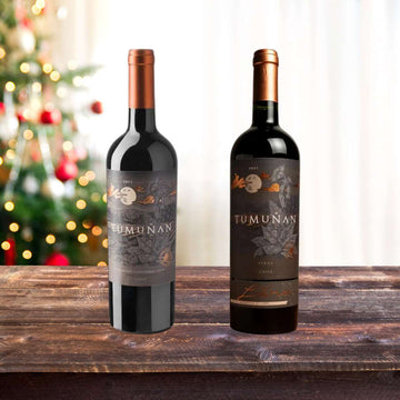Charming Chileans - Mixed Case - Caviste Wine