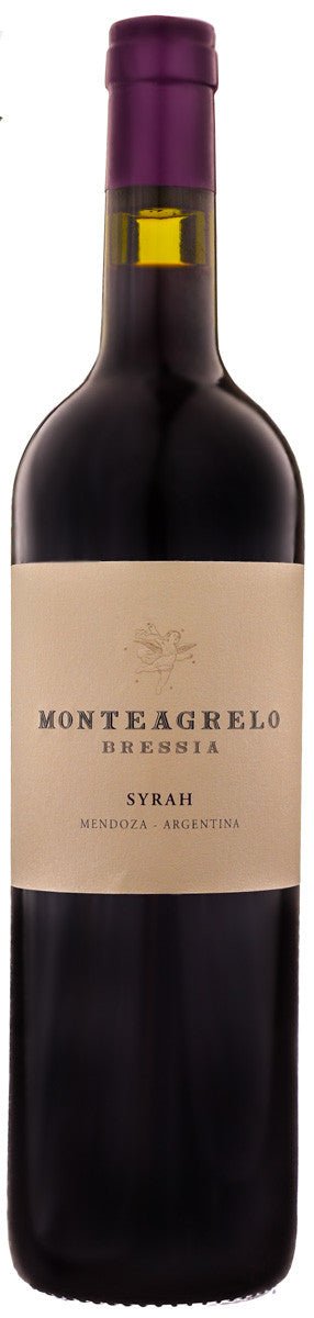 2013 Bressia Monteagrelo Syrah - Red - Caviste Wine