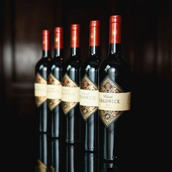 2014 Vinedo Chadwick Errazuriz (Six Bottle Case) - Red - Caviste Wine