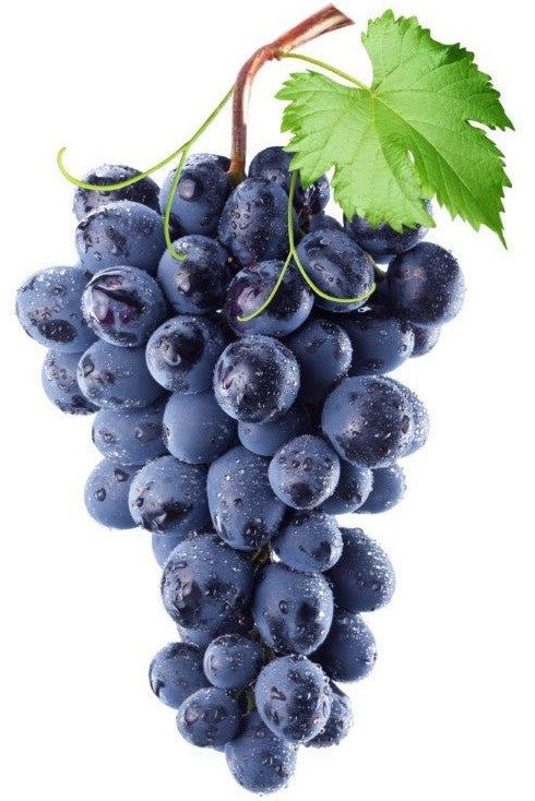 2015 Clos St Denis Grand Cru, Domaine Stéphane Magnien - Red - Caviste Wine