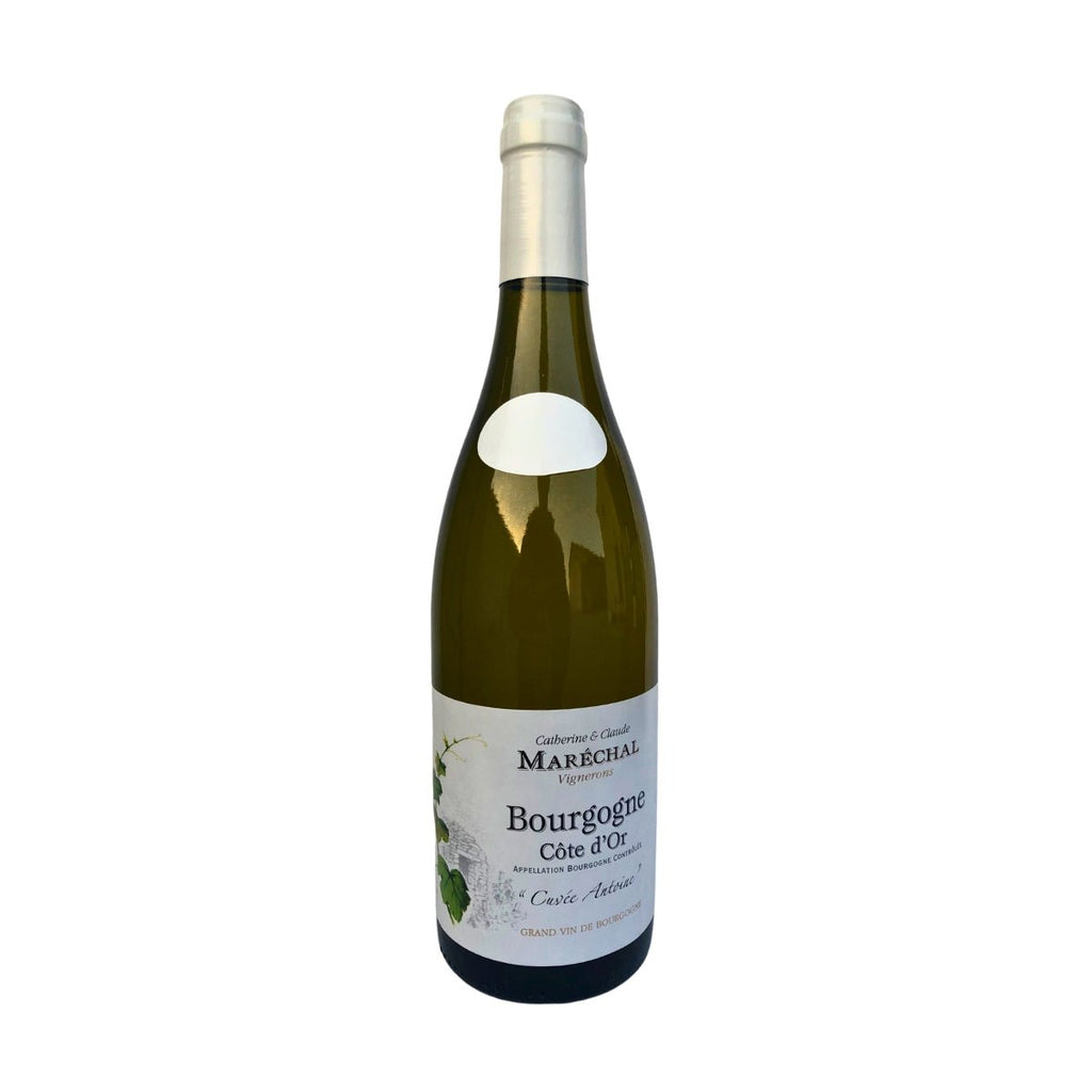 2019 Domaine Catherine et Claude Marechal Bourgogne Blanc 'Cuvée Antoine' - White - Caviste Wine