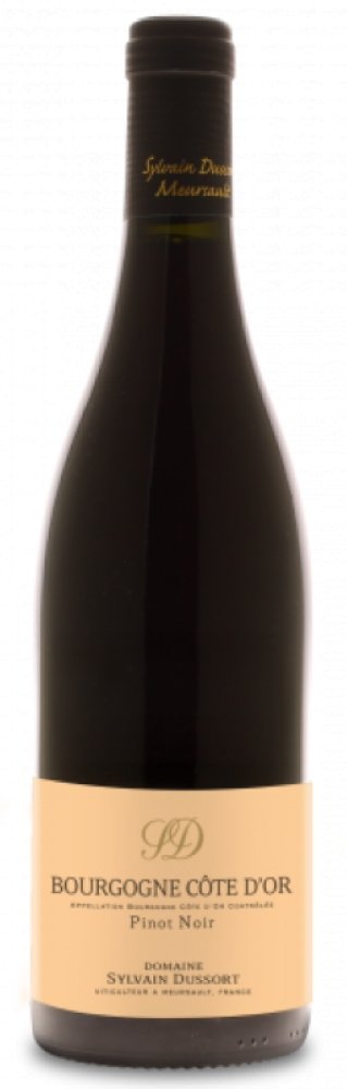 2019 Domaine Sylvain Dussort Bourgogne Côte d'Or Pinot Noir - Red - Caviste Wine