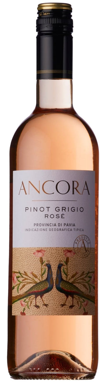 2020 Ancora Pinot Grigio Rosé - Rosé - Caviste Wine