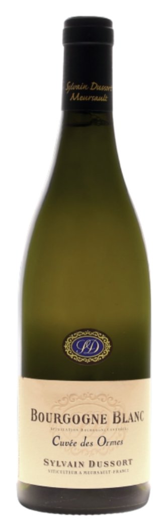 2020 Domaine Sylvain Dussort Bourgogne Blanc 'Cuvée des Ormes' - White - Caviste Wine