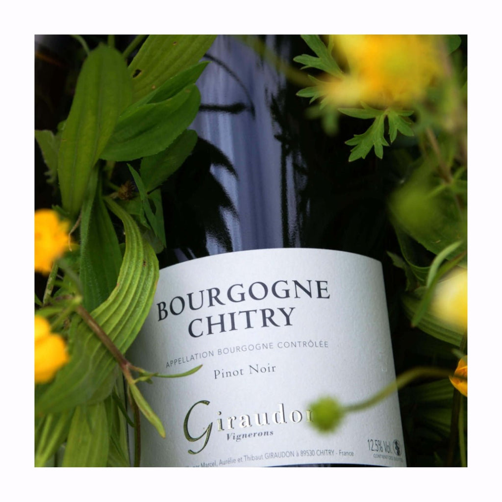 2022 Domaine Giraudon Bourgogne Chitry Rouge - Red - Caviste Wine