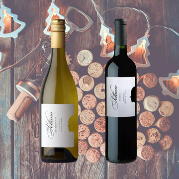 Argentinian Icons - Two Bottle Set - Caviste Wine