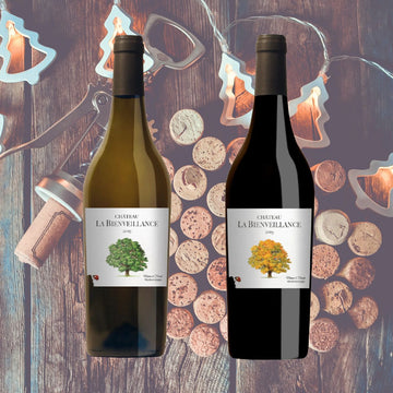 Bordeaux Rouge et Blanc Duo - Two Bottle Set - Caviste Wine