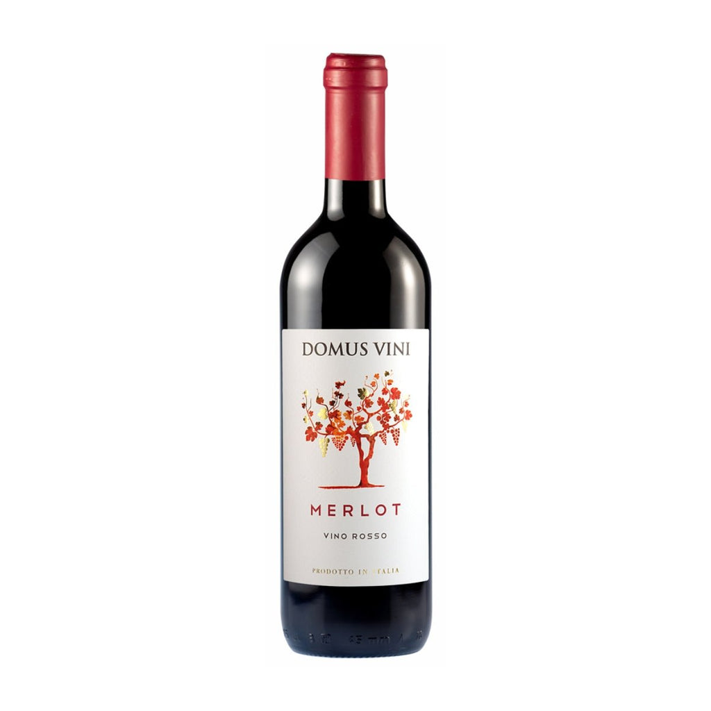 NV Domus Vini Merlot - Red - Caviste Wine