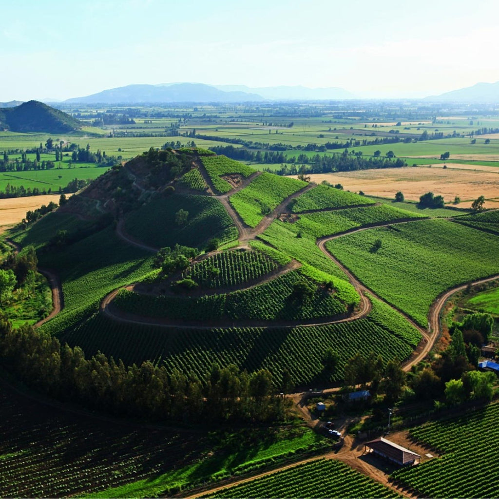 Viña Siegel Mixed Selection - Mixed Case - Caviste Wine